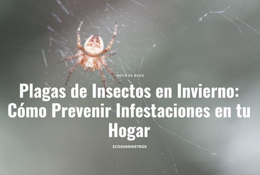 Plagas de Insectos en Invierno: Cómo Prevenir Infestaciones en tu Hogar
